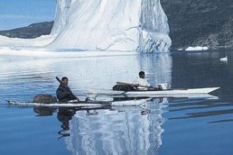 Groenlandia e gli Iceberg