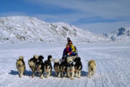 Safari con i cani da slitta alle Isole Svalbard