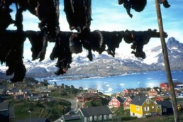 Viaggio individuale in Groenlandia Islanda e Isole Faroe